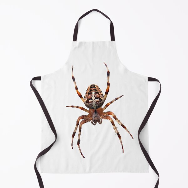 Item preview, Arachnid designed and sold by MorningFive.