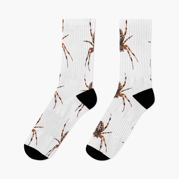 Item preview, Arachnid designed and sold by MorningFive.