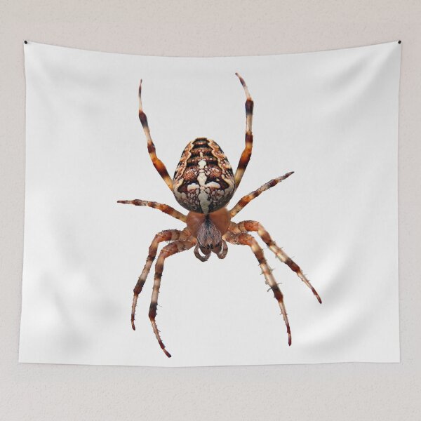 Item preview, Arachnid designed and sold by MorningFive.