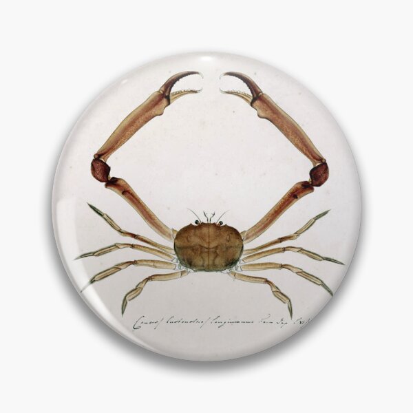 Item preview, Carcinoplax longimana (De Haan, 1833) designed and sold by Geraldo Garcia.
