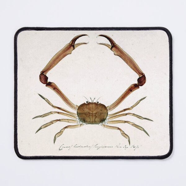 Item preview, Carcinoplax longimana (De Haan, 1833) designed and sold by Geraldo Garcia.