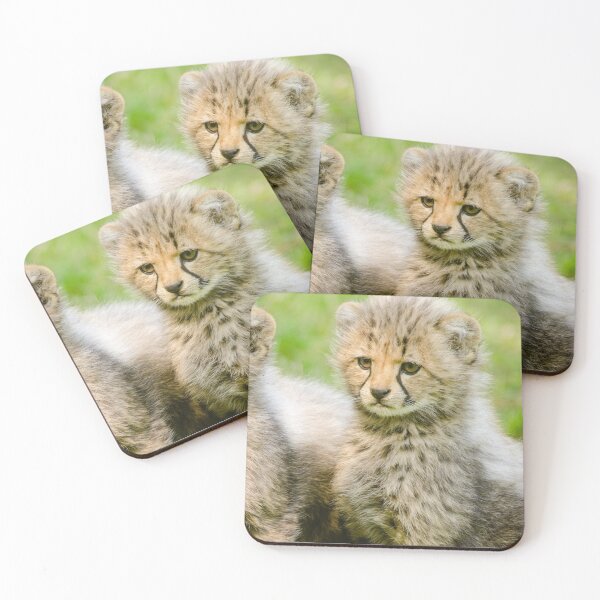 Item preview, Cute Yellow and Black Cheetah designed and sold by Petrina Haipinge.
