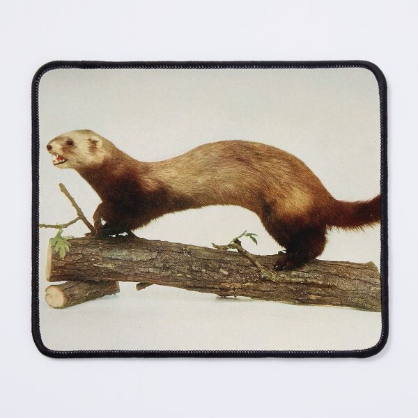 Item preview, Ferret Nature neighbors designed and sold by Geraldo Garcia.