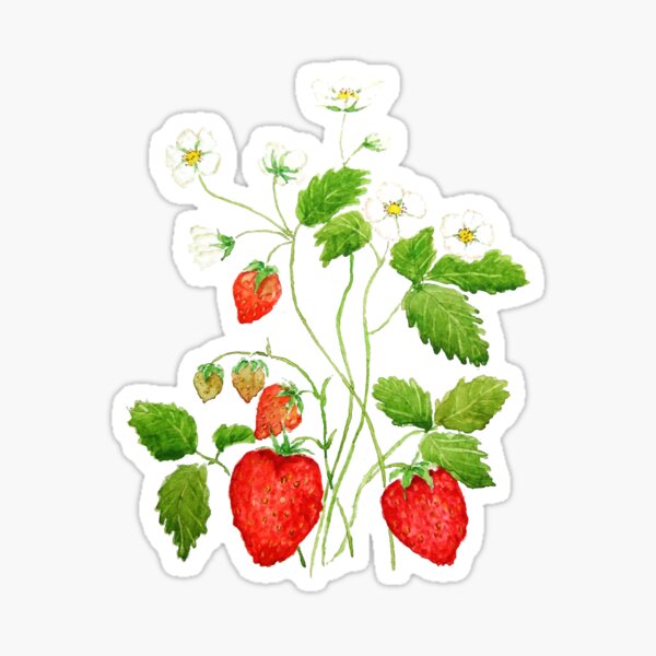 Item preview, hand painted strawberry painting designed and sold by ColorandColor.