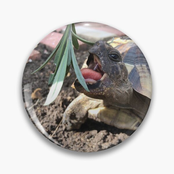 Item preview, Cute Tortoise / Turtle Gift For Reptile Lovers Womens Mens Childrens Funny   designed and sold by Talia  Jones.