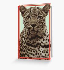 Leopard Vector Greeting Card