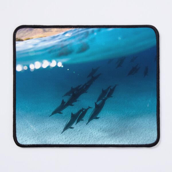 Item preview, Under water Dolphins designed and sold by HeatherAP.