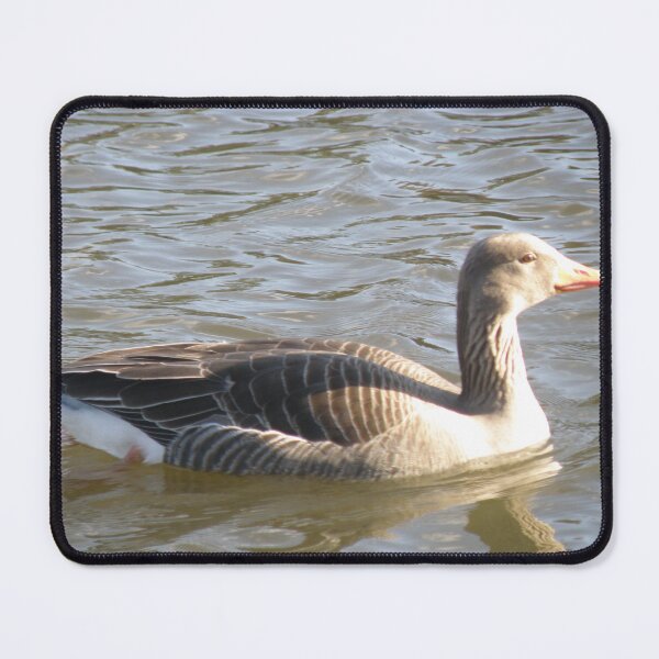 Item preview, Greylag Goose on a Sunny Lake Photograph designed and sold by naturegallery.