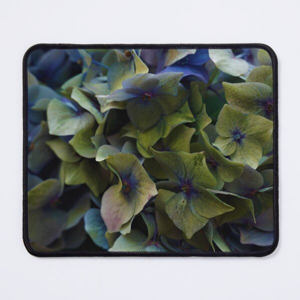 Item preview, Large Hydrangea Blue and Green designed and sold by Cheryl Willingham.