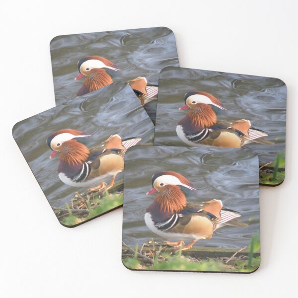 Item preview,  Male Mandarin Duck Exotic Birds Photograph designed and sold by naturegallery.