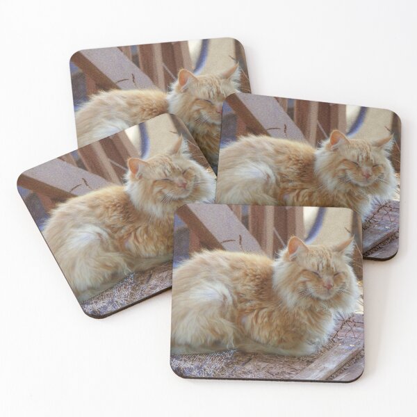 Item preview, Ginger George designed and sold by Frankie Cat Photography.