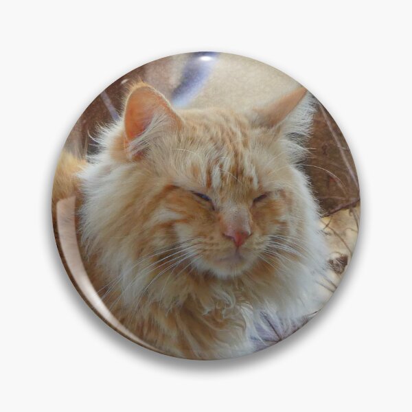 Item preview, Ginger George designed and sold by Frankie Cat Photography.