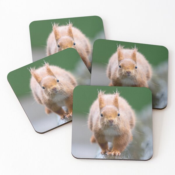 Item preview, The oncoming squirrel designed and sold by Anthony Brewer.