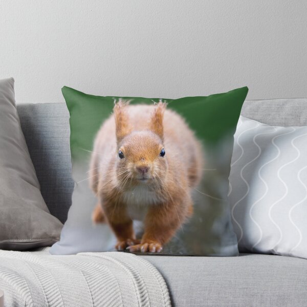 Item preview, The oncoming squirrel designed and sold by Anthony Brewer.