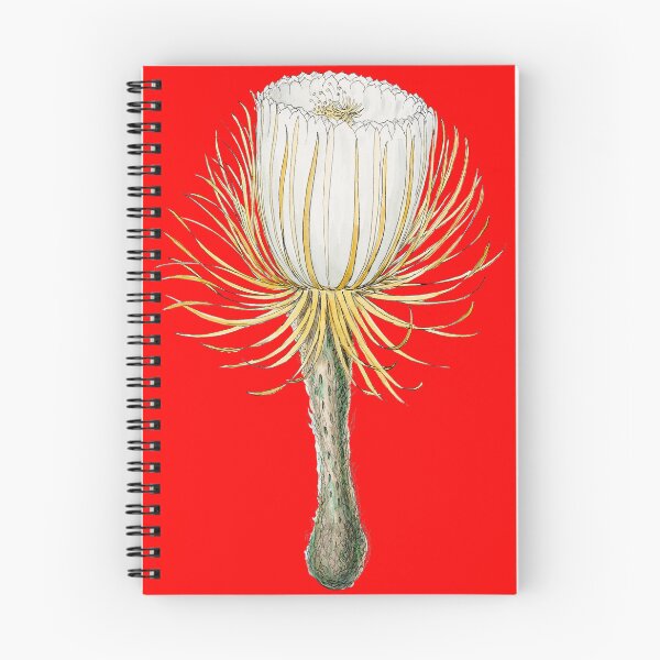 Item preview, A Bright Red Backdrop with A Cactus Flower Illustration Design  designed and sold by beddreams.