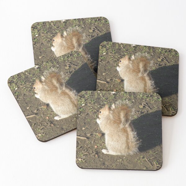Item preview, Grey Squirrel Turns its back Photograph designed and sold by naturegallery.