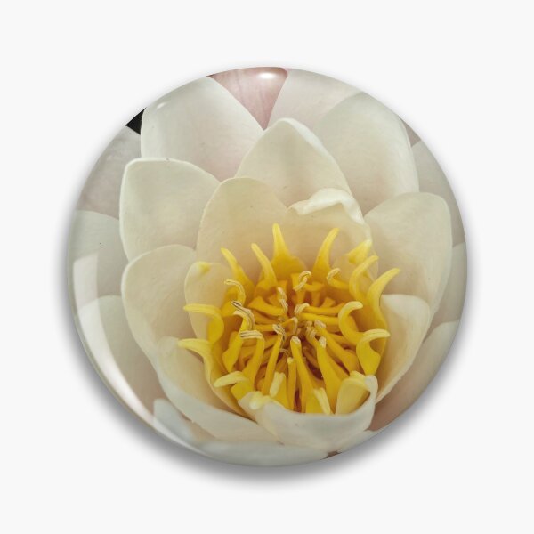 Item preview, water lilies designed and sold by werflow-.