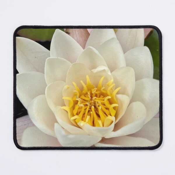 Item preview, water lilies designed and sold by werflow-.