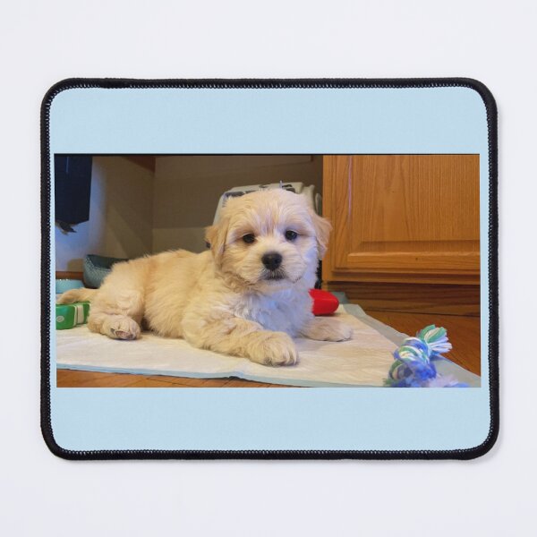 Item preview, rocky dog designed and sold by amfabricante.