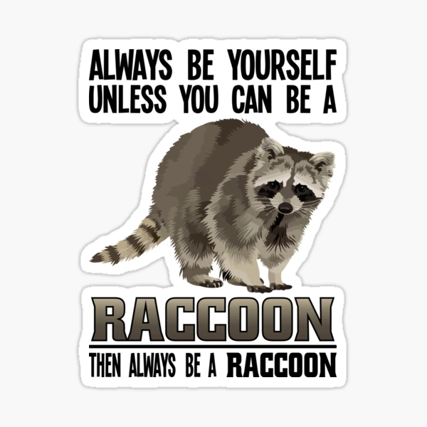 Raccoon Squad Trash Talkers Vintage Retro, Funny Racoon Pullover Hoodie