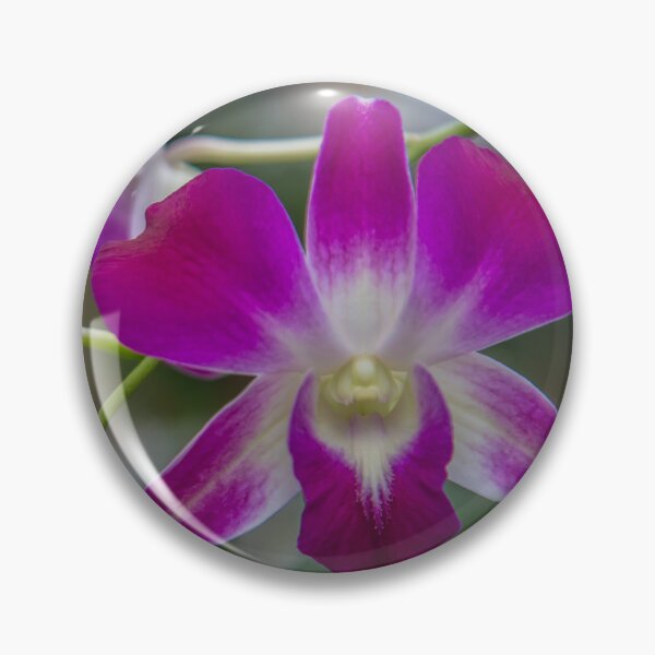 Item preview, USA. Virginia. Richmond. Lewis Ginter Botanical Garden. Orchid. designed and sold by vadim19.