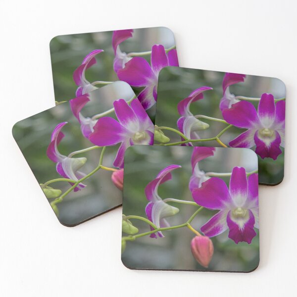 Item preview, USA. Virginia. Richmond. Lewis Ginter Botanical Garden. Orchid. designed and sold by vadim19.