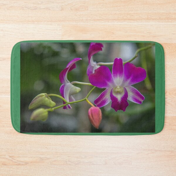 Item preview, USA. Virginia. Richmond. Lewis Ginter Botanical Garden. Orchid. designed and sold by vadim19.