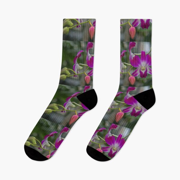 Item preview, USA. Virginia. Richmond. Lewis Ginter Botanical Garden. Orchid. designed and sold by vadim19.