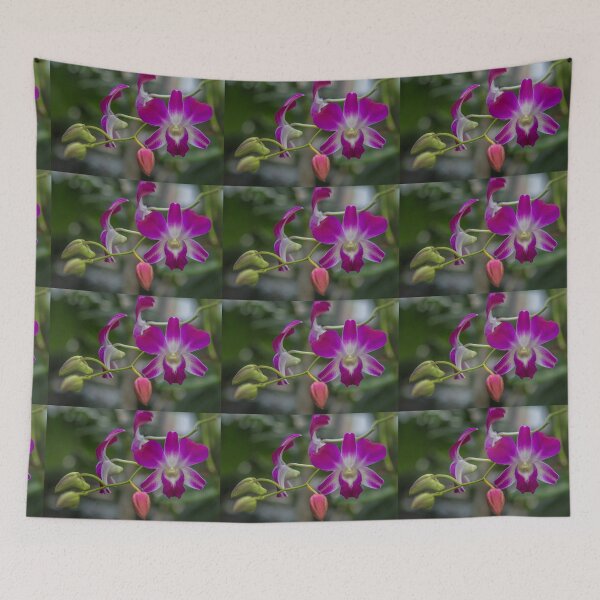 Item preview, USA. Virginia. Richmond. Lewis Ginter Botanical Garden. Orchid. designed and sold by vadim19.