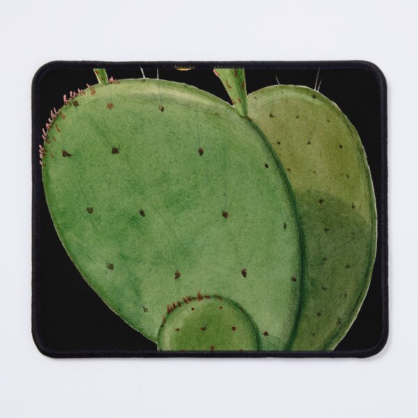 Item preview, Cactus with A Yellow Flower in A Deep Black Backdrop designed and sold by beddreams.