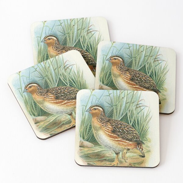 Item preview, Coturnix japonica (Japanese Quail) - Ogilvie-Grant (1896) designed and sold by Geraldo Garcia.