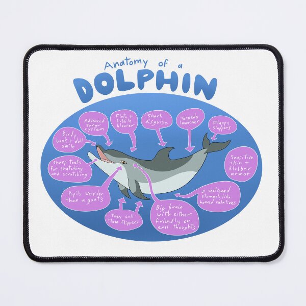 Item preview, Anatomy of a dolphin designed and sold by PigeonGryphon.