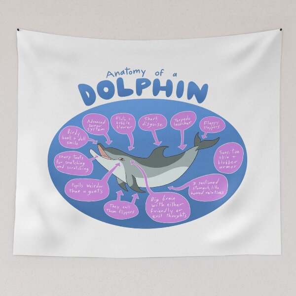 Item preview, Anatomy of a dolphin designed and sold by PigeonGryphon.