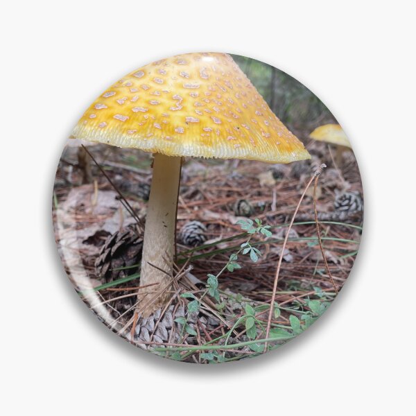 Item preview, Mushy mushroom  designed and sold by NaturebyAdamV.