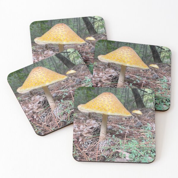 Item preview, Mushy mushroom  designed and sold by NaturebyAdamV.