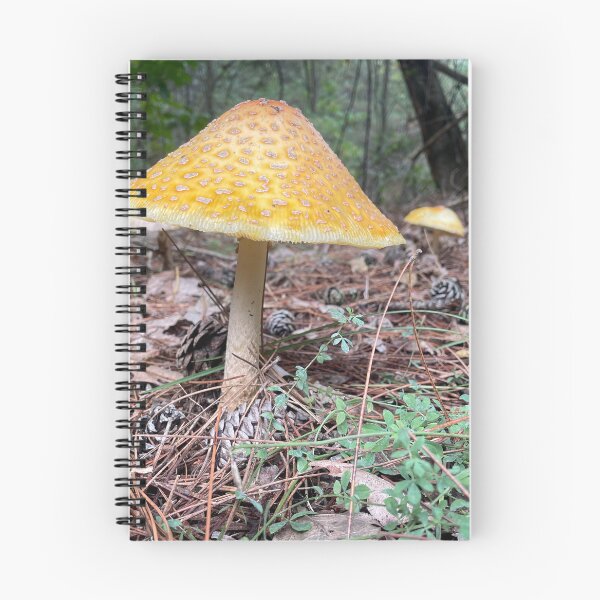 Item preview, Mushy mushroom  designed and sold by NaturebyAdamV.