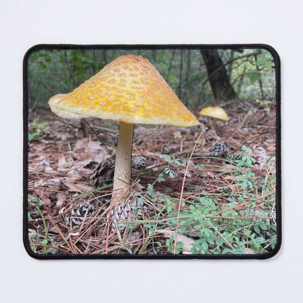 Item preview, Mushy mushroom  designed and sold by NaturebyAdamV.