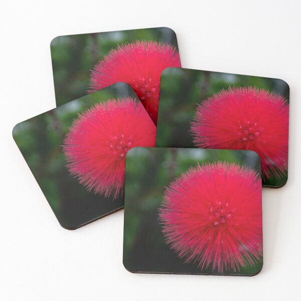 Item preview, Santa Barbara Powder Puff Flower designed and sold by BarbaraVPhoto.
