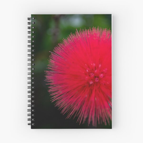 Item preview, Santa Barbara Powder Puff Flower designed and sold by BarbaraVPhoto.