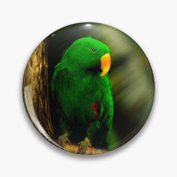 Artikelvorschau, Exotischer Vogel Grüner Papagei Eclectus männlich entworfen und verkauft von crimsonbamboo.