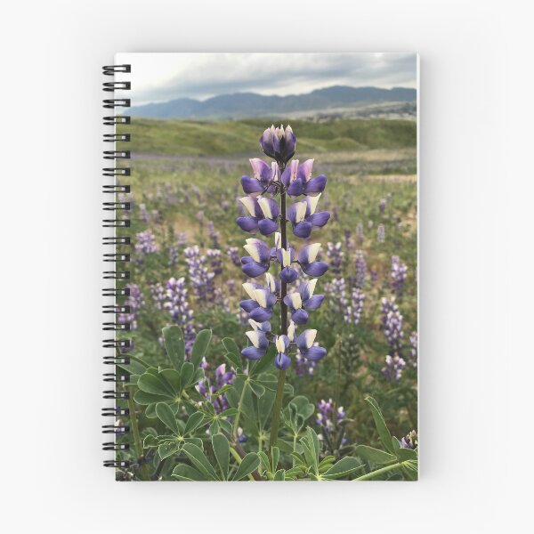 Item preview, Beautiful Lupine designed and sold by BarbaraVPhoto.