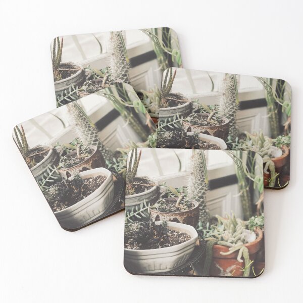 Item preview, Window Plants designed and sold by Ali Prater.