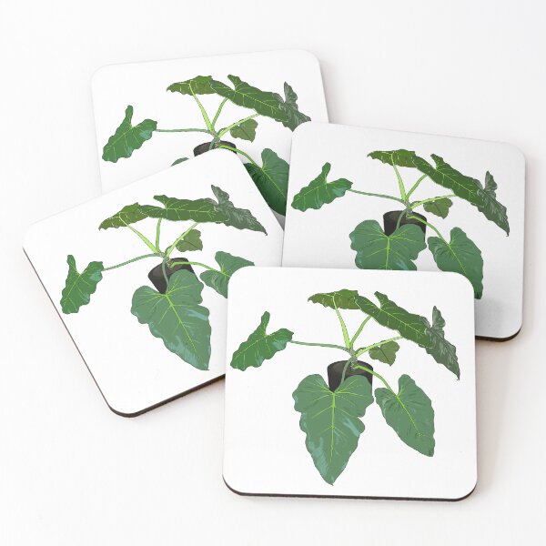 Item preview, Philodendron giganteum designed and sold by kvictoria1.