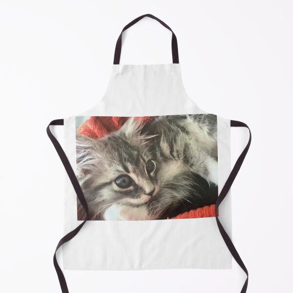 Item preview, Kitten grey by Suzanne Beasley  designed and sold by Jacinta hunt.