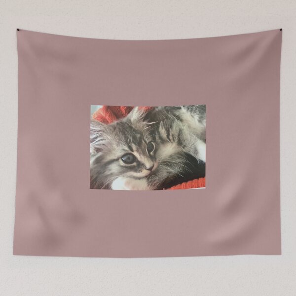 Item preview, Kitten grey by Suzanne Beasley  designed and sold by Jacinta hunt.