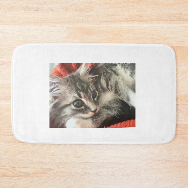 Item preview, Kitten grey by Suzanne Beasley  designed and sold by Jacinta hunt.