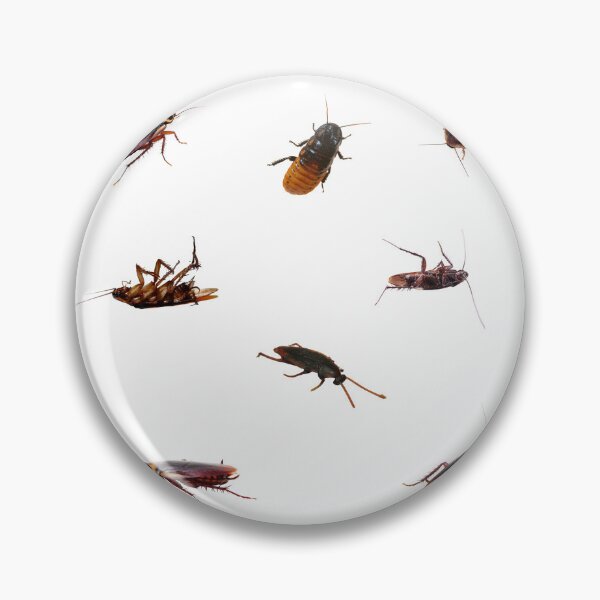 Item preview, Cockroach Bundle designed and sold by silviaol.