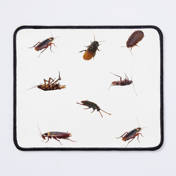 Item preview, Cockroach Bundle designed and sold by silviaol.