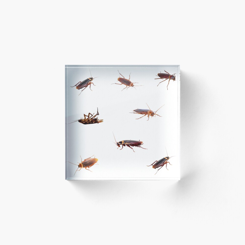 Item preview, Acrylic Block designed and sold by silviaol.