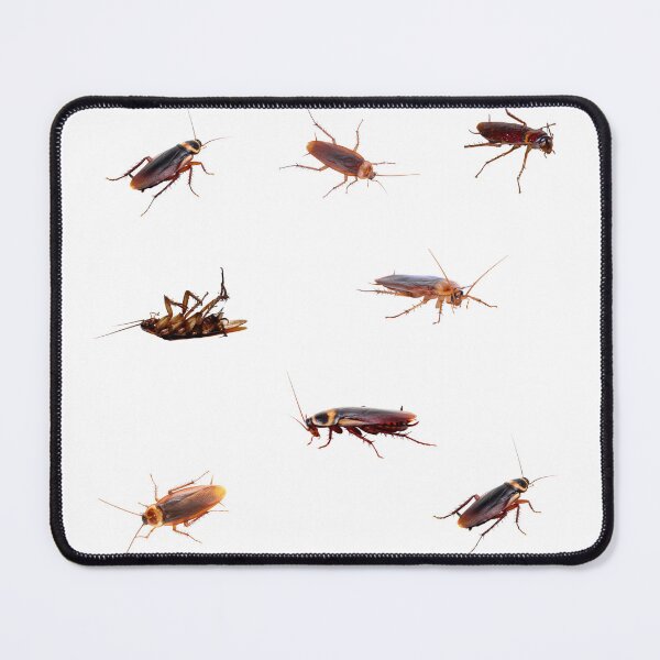 Item preview, Cockroach Collection designed and sold by silviaol.